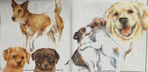 Serviette Hunde, Welpen